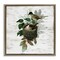 Stupell Industries Birds in Vintage Nest Floating Frame Design by Susan Arnot